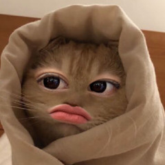 tiaaaa