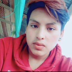 Jesusito M J Basantes