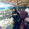 Wansyah