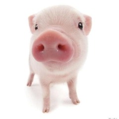 @екстемкскскс