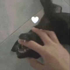 Dương Dương