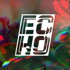 ECHOSYSTEM