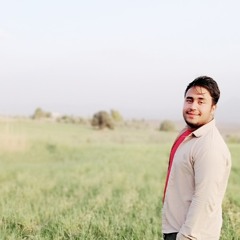 Ali Soltani