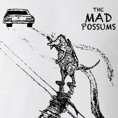 piano guy Mad Possums Productions