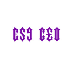 ES9 CEO