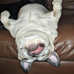 Brocccollli$hocccollli