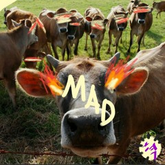iMad