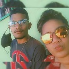 Bina N Shelton