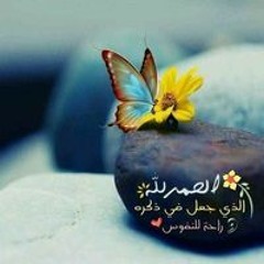 Mohmmed Elsayed