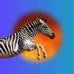 Павел Родионов