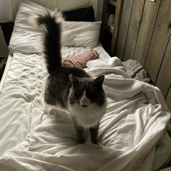 jamie
