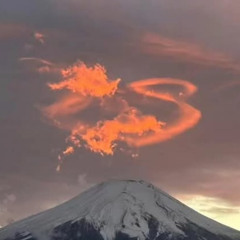 MARELLI Mt.Fuji JP
