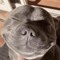 young pit