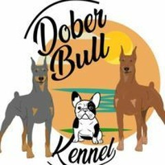 Doberbull Doberbull