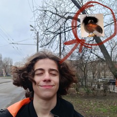 поролон228
