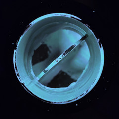 Cap87