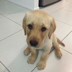 i used to be suicidal as a kid