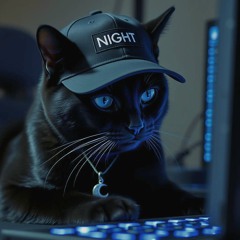 DistroKid Wheel of Playlist