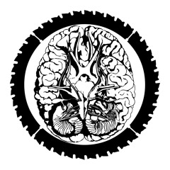 Sensory Mindfield