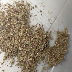 Tonzo