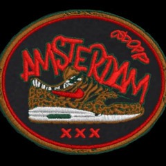 Noepster AMS