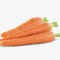 YungCarrot