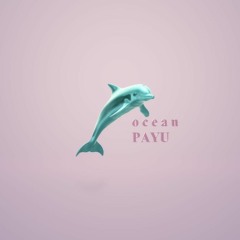 PAYU