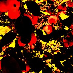 Fun With Breath Controller