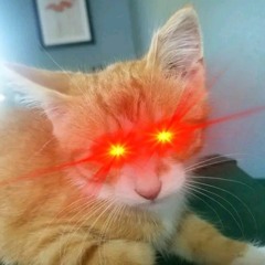 SlawJaw
