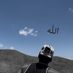 Mehrad7
