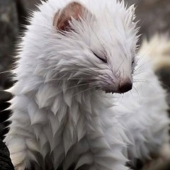 earthwentviral