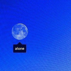 𐔌՞. .՞𐦯 ‧₊˚♪ 𝄞₊˚⊹