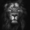 The Lion