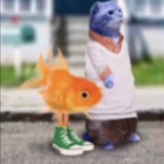 WSB KREED