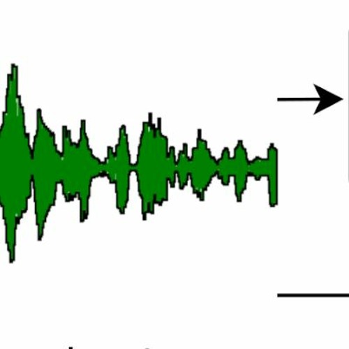 Example 1, Speaker 0, Wavesplit
