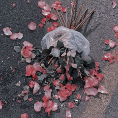 T0TALLY_N0RMAL.HUMAN