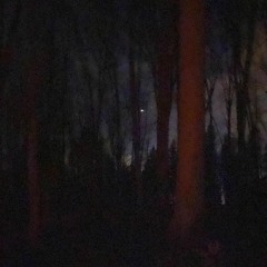 My Day (prod. by Taigen x Ayoley)