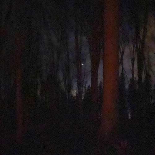 My Day (prod. by Taigen x Ayoley)