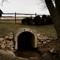 MvdmnUndergroundAccount