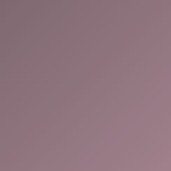 _coolbugfacts28768191828723984262652376198973