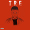TRE STONE