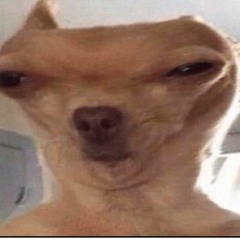 da dawg