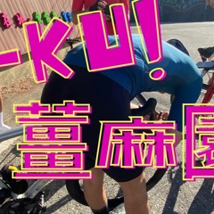 憲在進行式