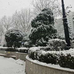 아야