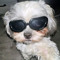 ★rockstar★