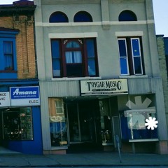 Elisa Collini Trygar