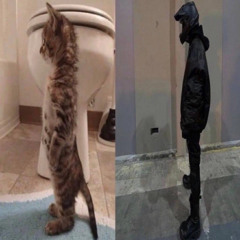 SCALE