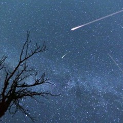 ♔ ♚ !!Vio!! ♚ ♔