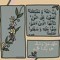heba33