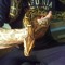 Harley Rescues Snakes Jones